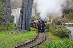 The San Francisco Zoo's "Little Puffer" steam train makes the rounds